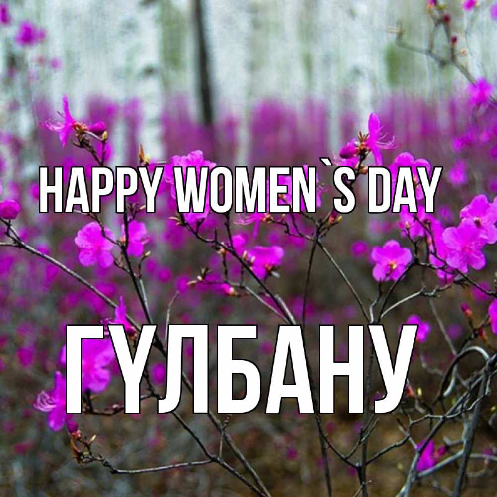Greetings card с именем, ГҮЛБАНУ happy women`s day дикие цветы Greetings with text for free download 